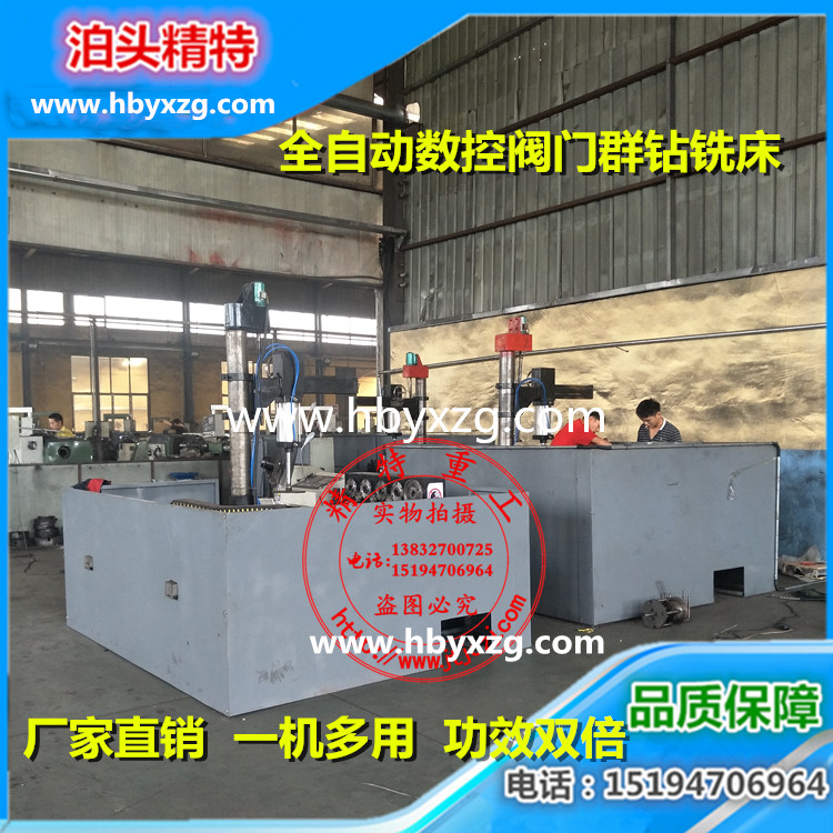 全自动数控阀门群钻铣床 精特重工成熟产品 保证质量 免费退换 
